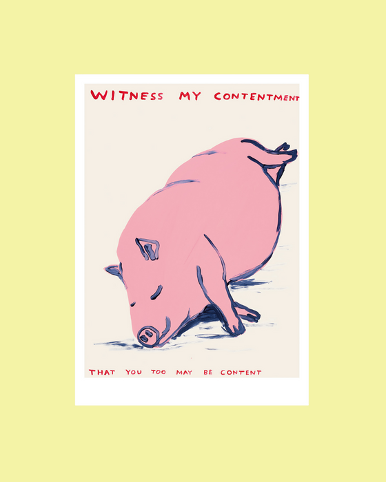David Shrigley Large Format Postcards