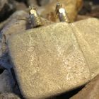 Gold stone slab earrings with brass pineapple bead | Moondust Collection