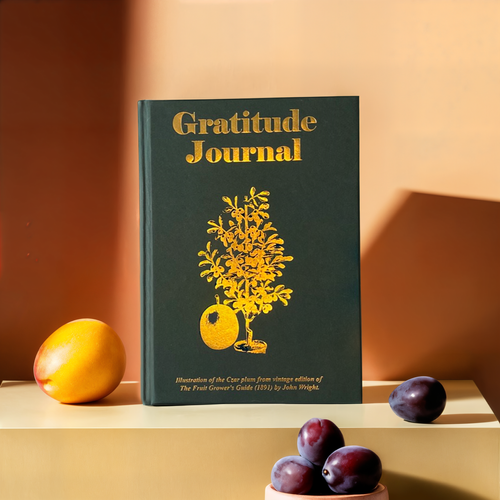 Vintage Plum Gratitude Journal Bottle Green A5