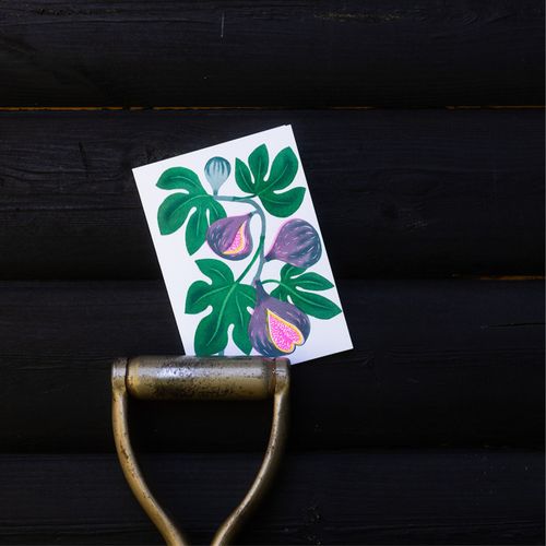 'Grow' collection | Cards | Patches | Prints