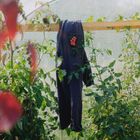 'Grow' collection | Cards | Patches | Prints