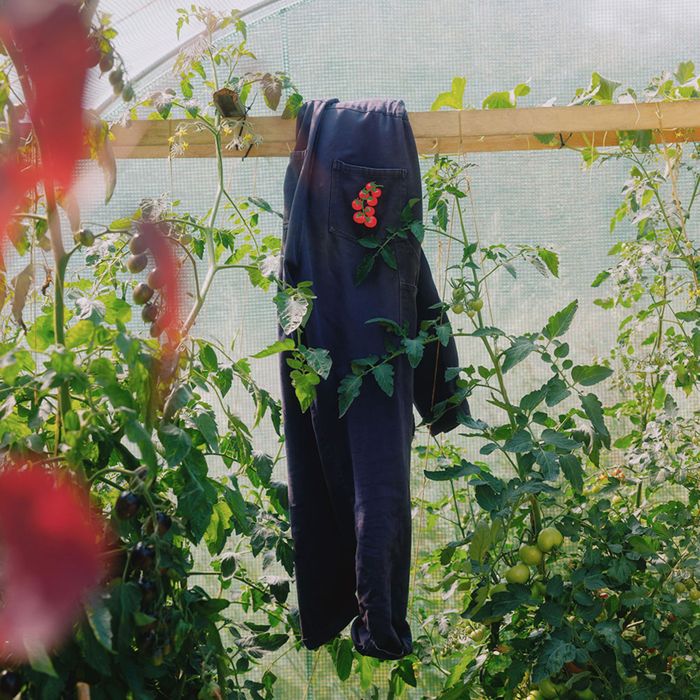 'Grow' collection | Cards | Patches | Prints