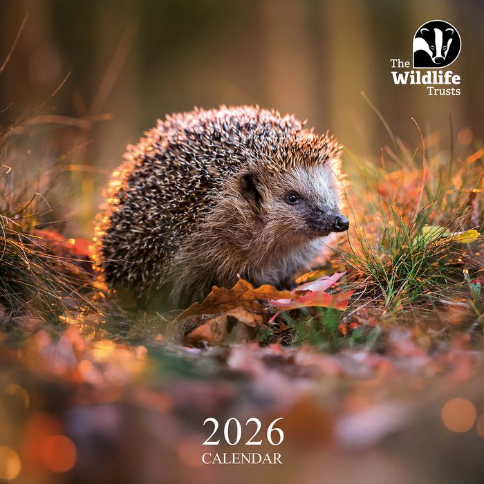 The Wildlife Trusts