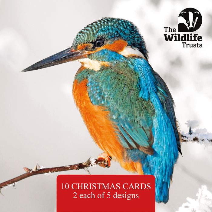 The Wildlife Trusts