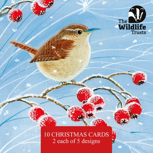 The Wildlife Trusts