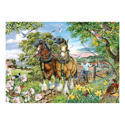 Strength & Beauty BIG 250 Jigsaw