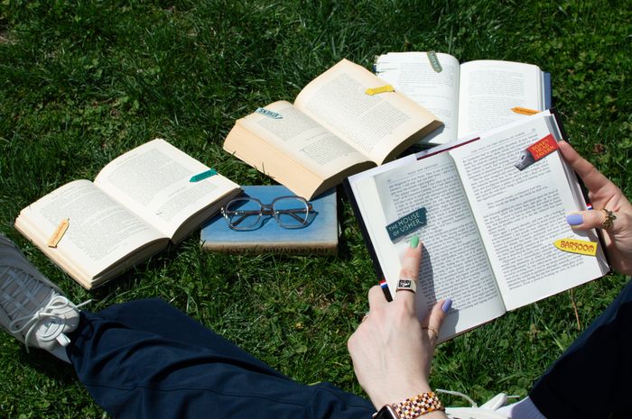 Literary Magnetic Bookmarks
