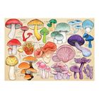 Mushroom Mania Puzzle Tube