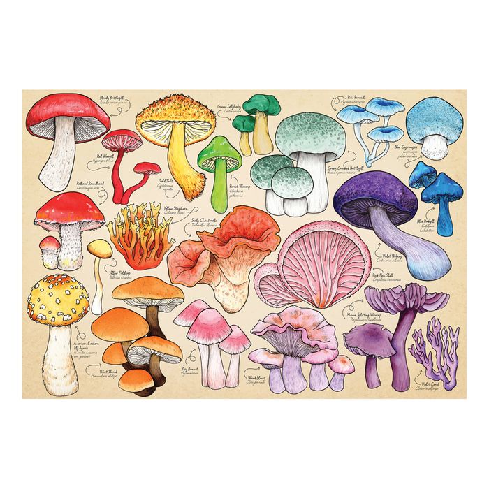 Mushroom Mania Puzzle Tube