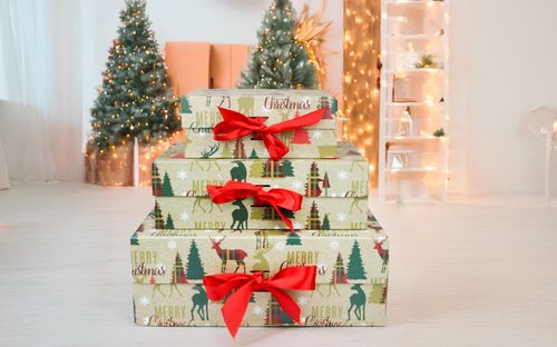Reindeer Christmas Gift Box with Ribbon (Sizes Available)