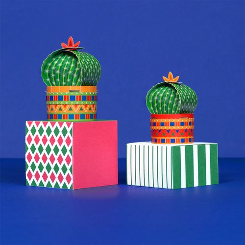 Craft Your Own Cute Little Cactus