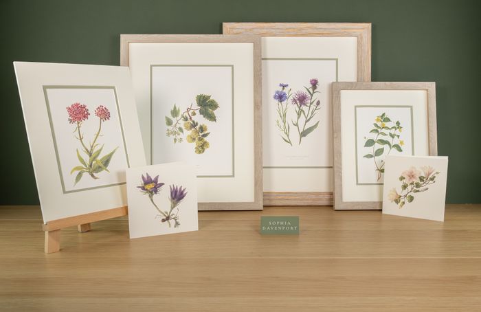 Sophia Davenport - Retail with Purpose