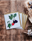 Rooted Vegetables -Greeting Card range - by Sarah Epsom