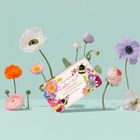 Botanical Vegan soap bars