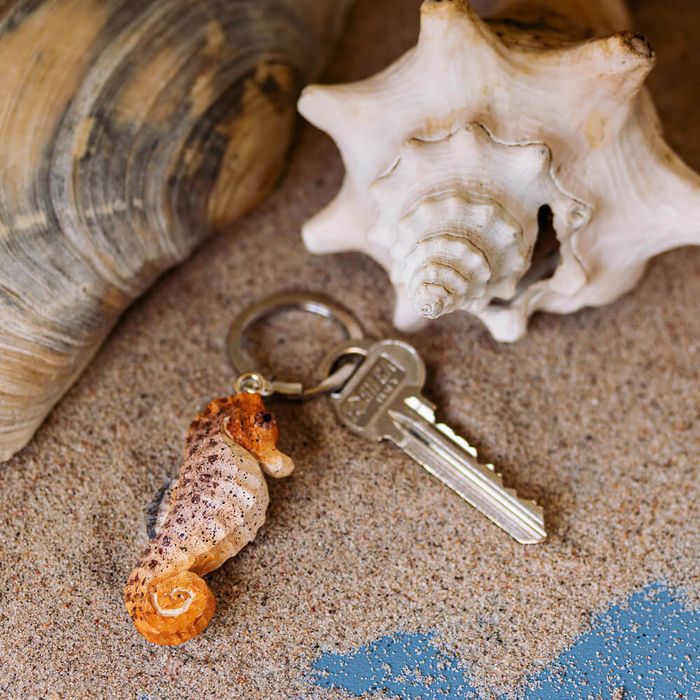 Keyring Seahorse