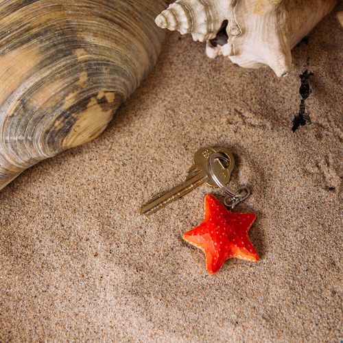 Keyring Starfish