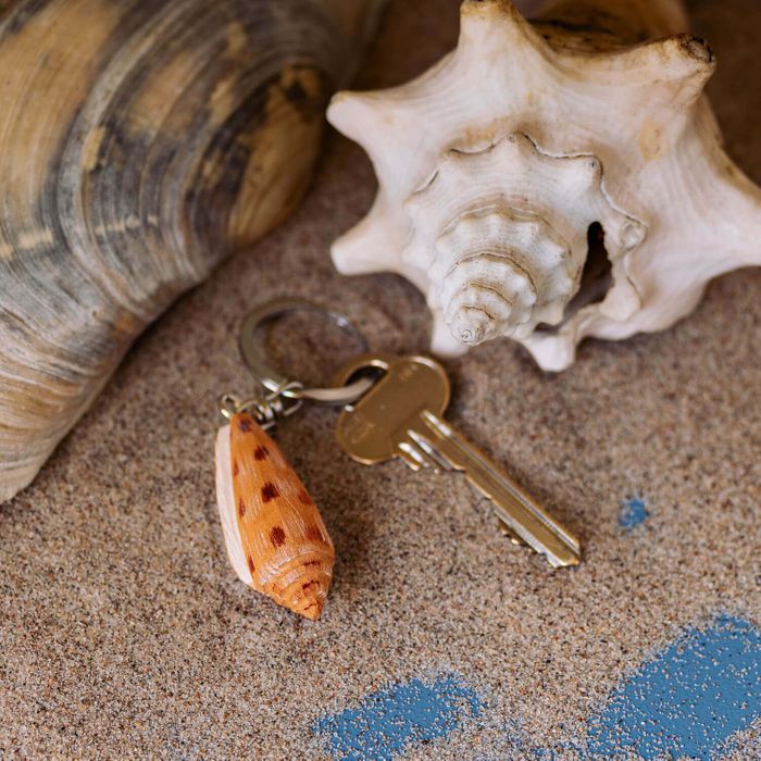 Keyring Conus Shell