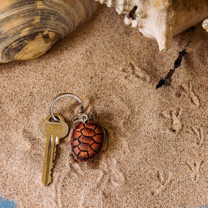 Keyring Sea Turtle