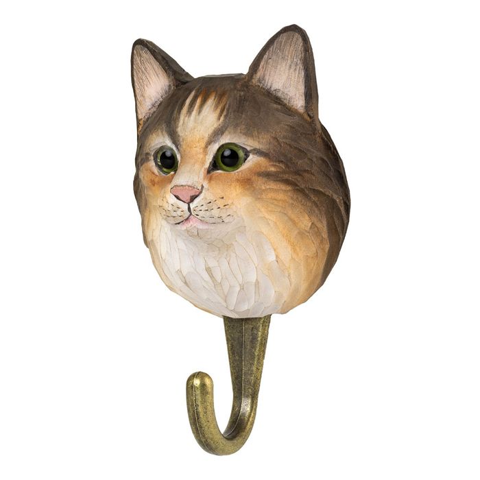 Hook Norwegian Forest Cat