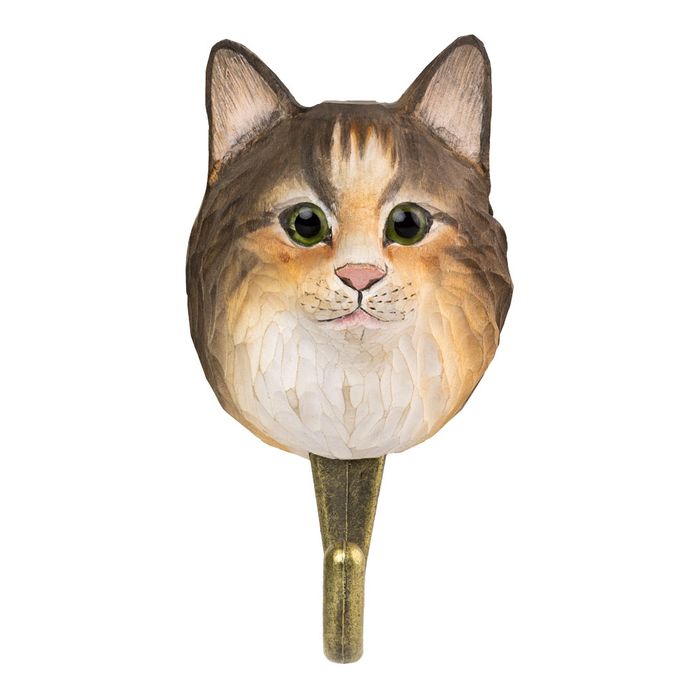 Hook Norwegian Forest Cat