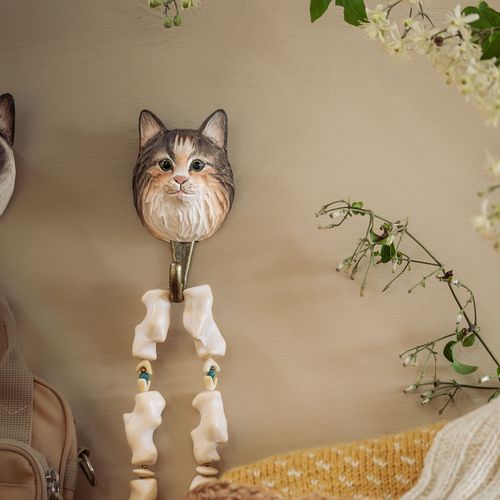 Hook Norwegian Forest Cat