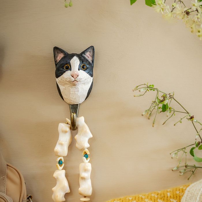 Hook Black & White Cat