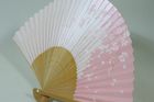 Nagoya Sense （Nagoya Folding Fan）