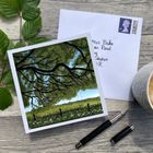 Sarah Jane Nicholls Art