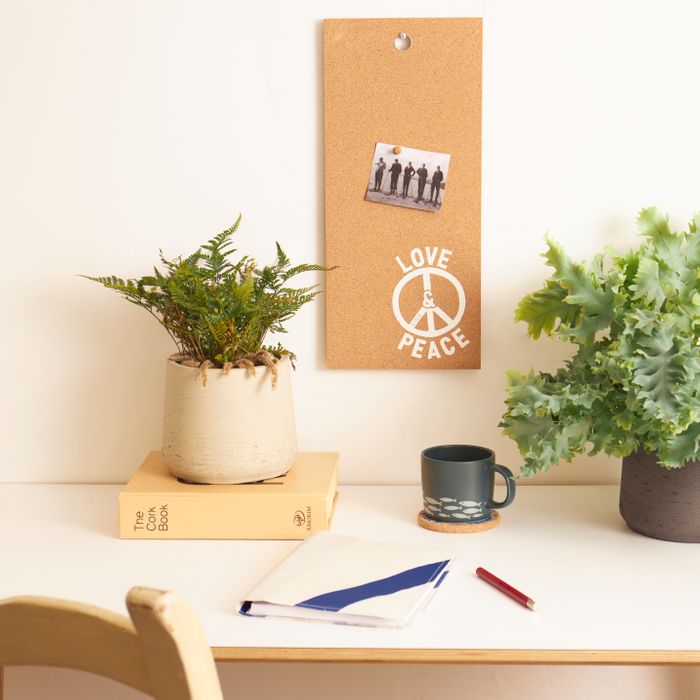 Small Cork Memo Boards