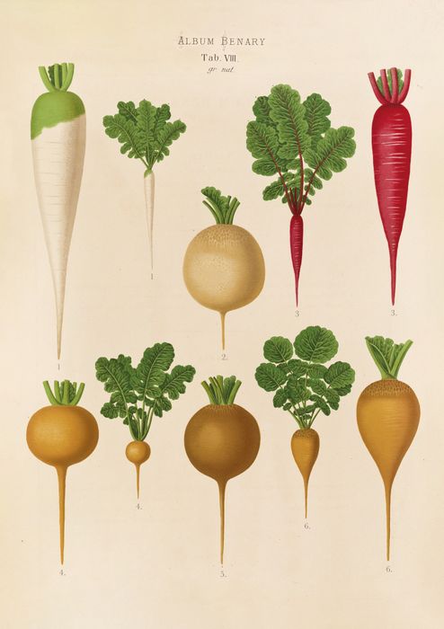 New designs spring 2026