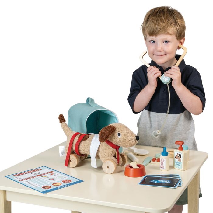 Animal Rescue Vet Case