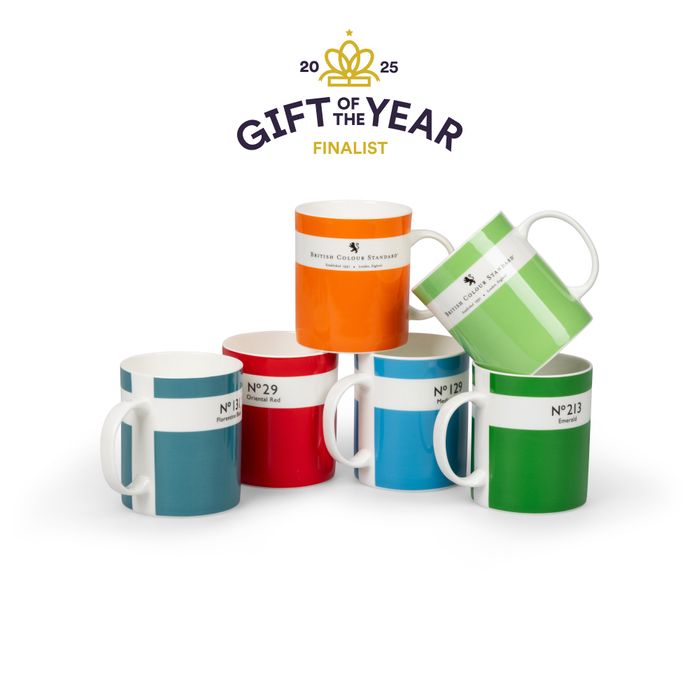 Colour Dictionary Mugs