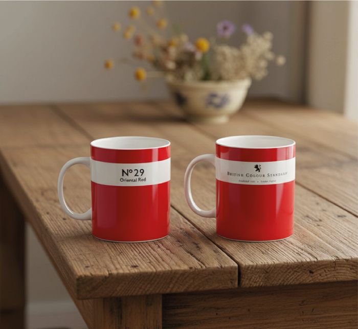 Colour Dictionary Mugs