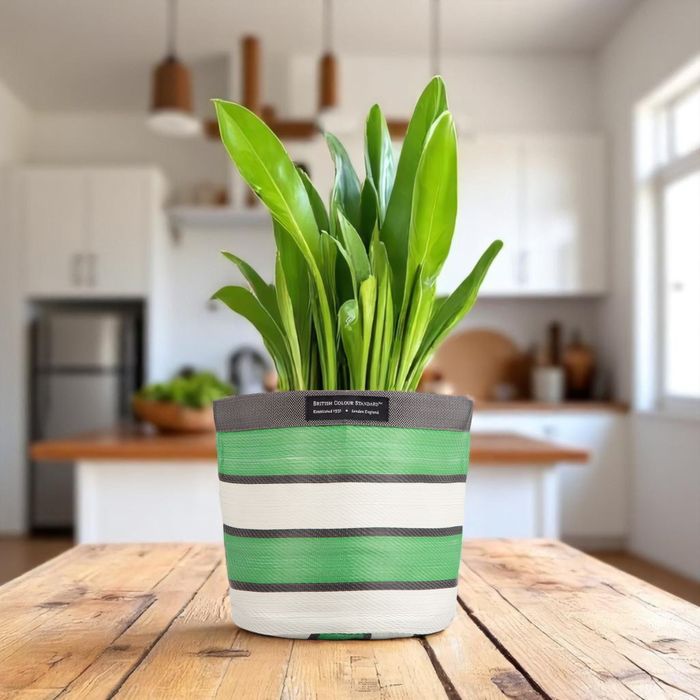 Woven Plant Pot Covers / Storage Baskets