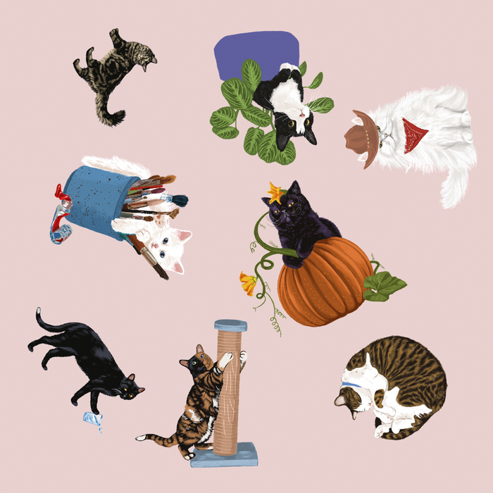 9781805701101	Spotting Games	Cat Spotter	A Spotting Game