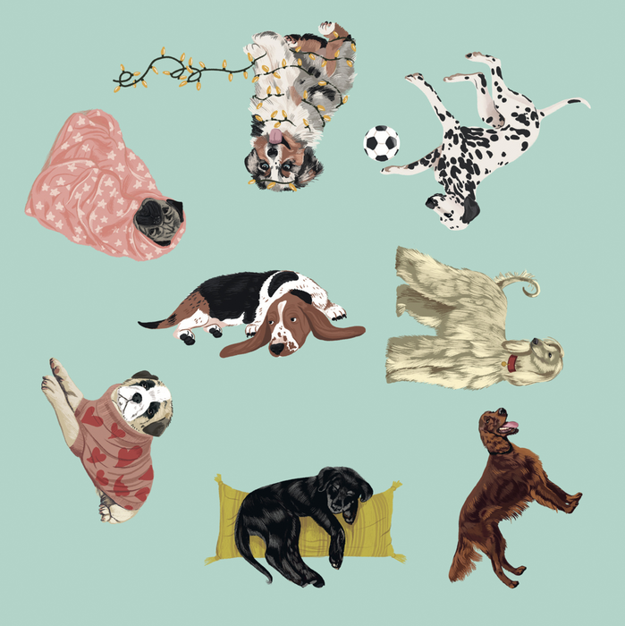 9781805701118	Spotting Games	Dog Spotter	A Spotting Game