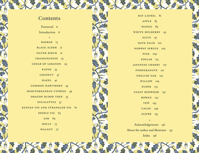 9781836008552		Folklore of Trees	The fascinating stories behind nature's guardians