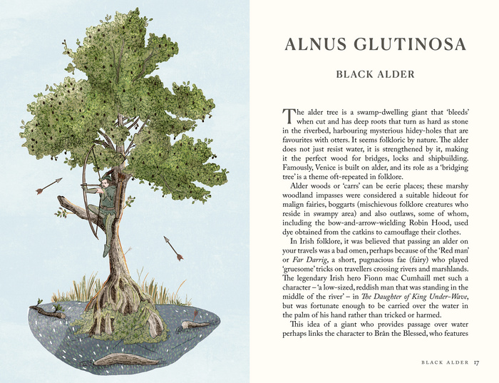 9781836008552		Folklore of Trees	The fascinating stories behind nature's guardians