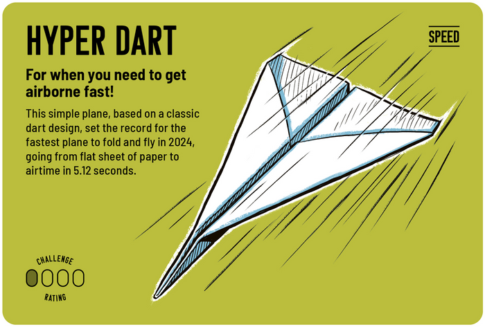 9781805701095		High Flyers	Fold the World's Best Paper Planes