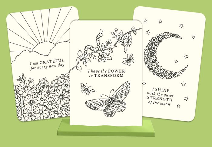 9781805700500		Johanna Basford's Notes from Nature	30 Affirmations Cards to Colour