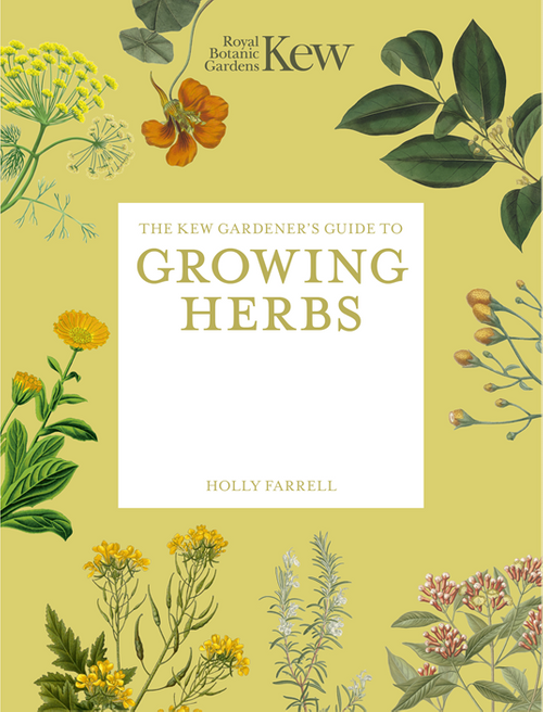 9781805700319	Kew Experts	Kew Gardener's Guide to Growing Herbs, The	Paperback reissue