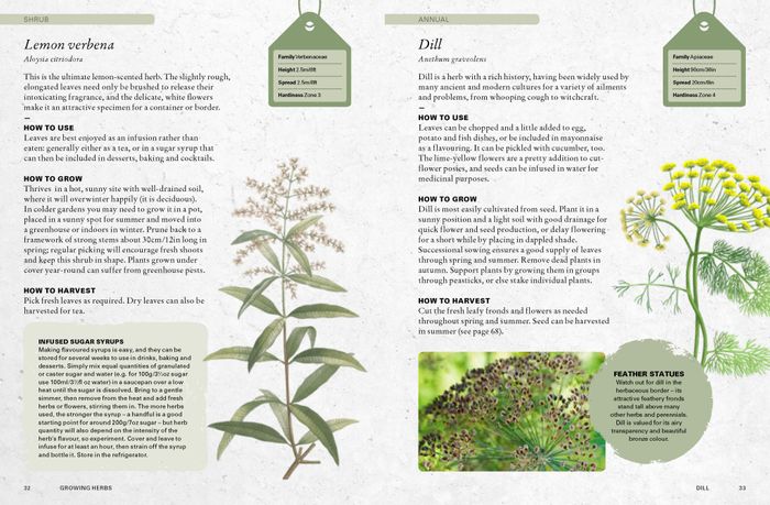 9781805700319	Kew Experts	Kew Gardener's Guide to Growing Herbs, The	Paperback reissue