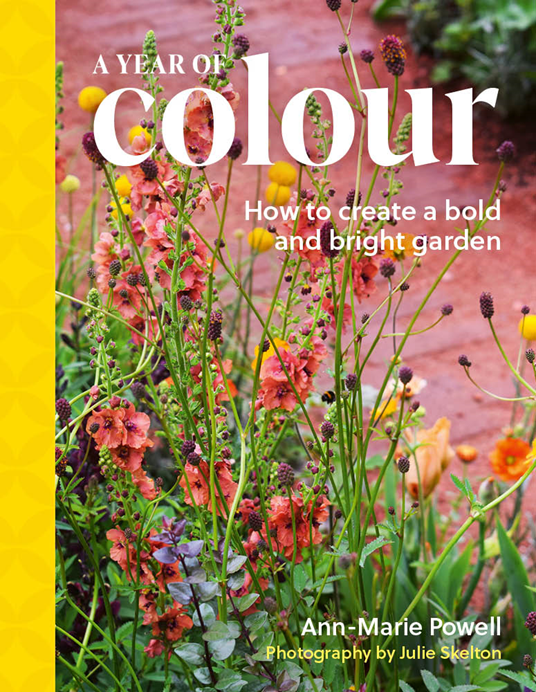 9781836003502		Year of Colour, A	How to create a bold and bright garden