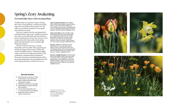 9781836003502		Year of Colour, A	How to create a bold and bright garden