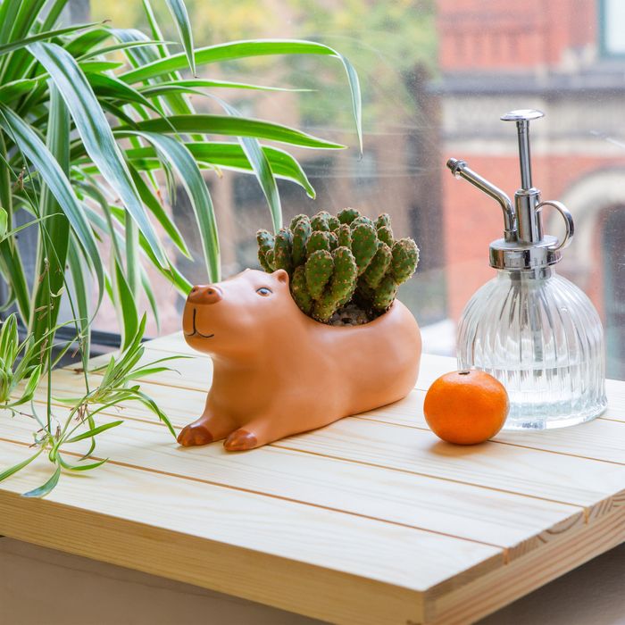 Cappy the Capybara Planter