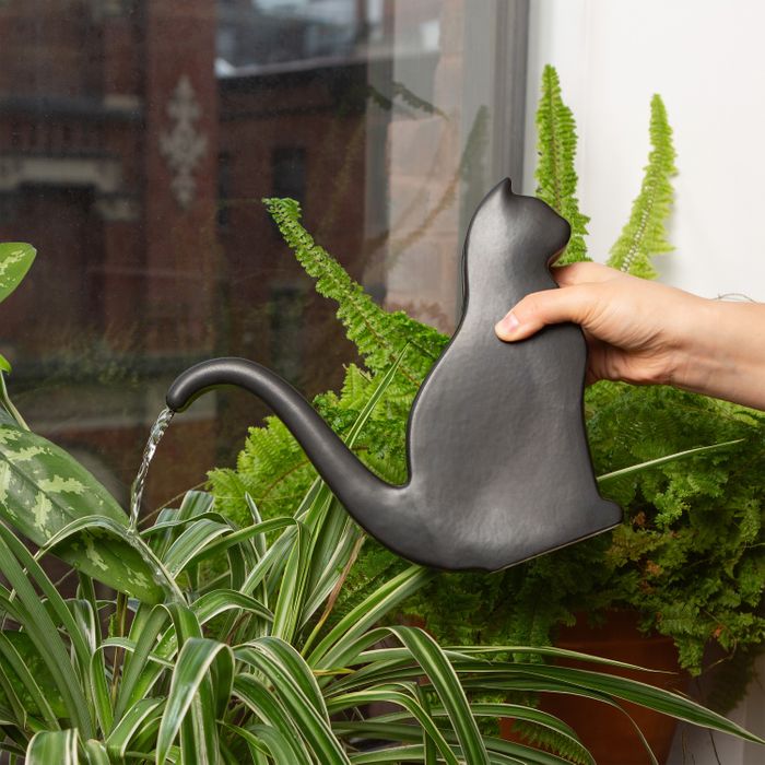 Cat Watering Can