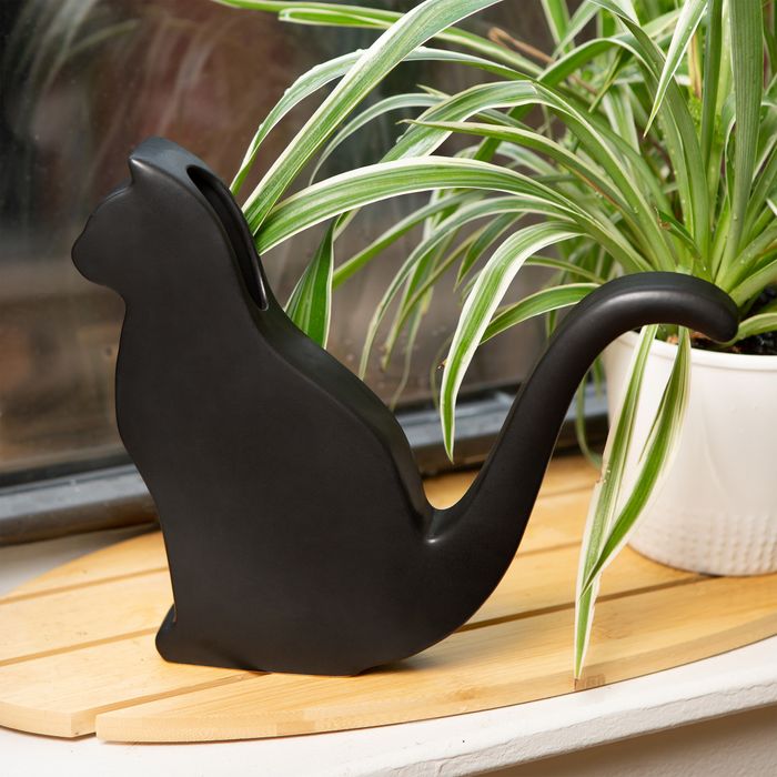 Cat Watering Can