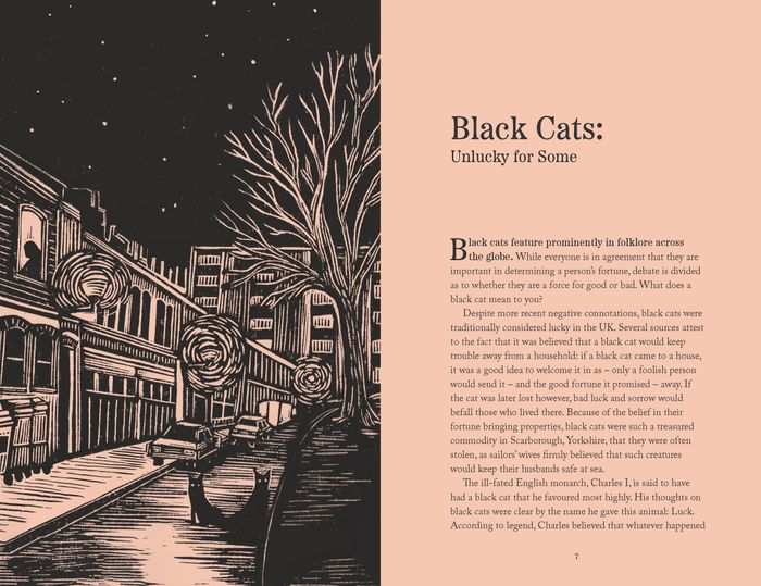 Curious Cats and Fantastical Felines