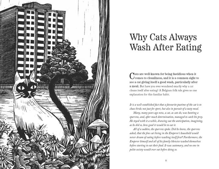 Curious Cats and Fantastical Felines