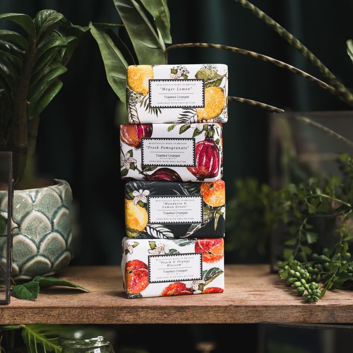 The Orangery Collection